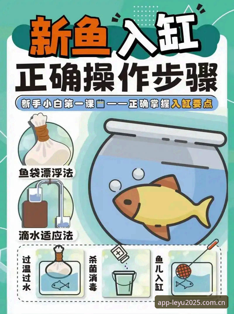 为什么说leyu乐鱼使用教程必备是新手入门的首选指南？