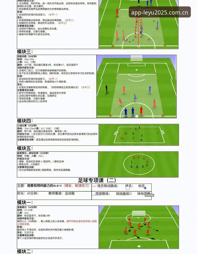 乐鱼体育平台用户必读：曼联中场双核引援操作教程与实战解析