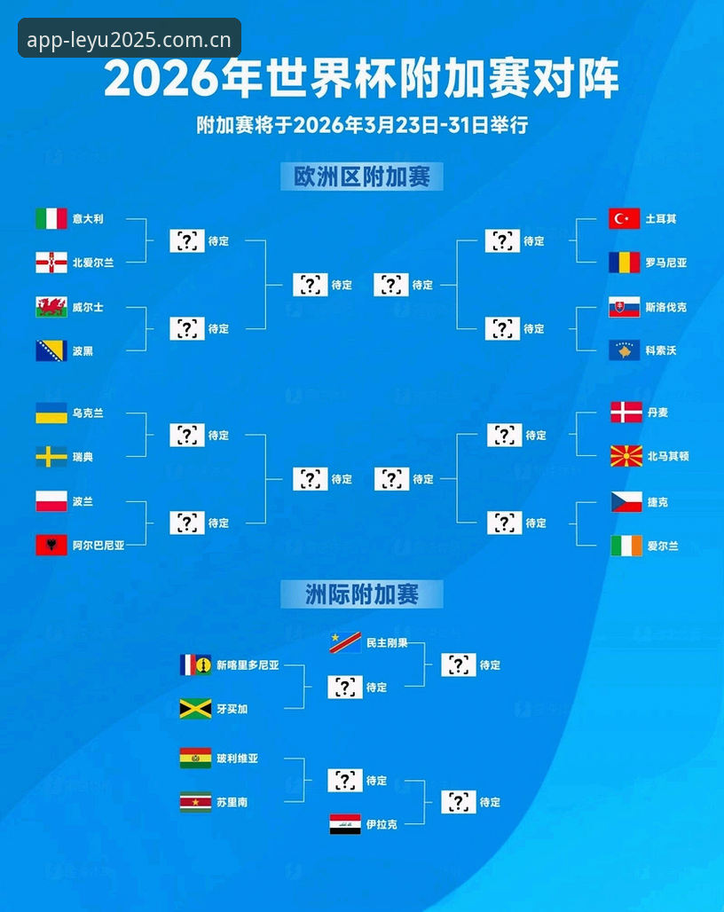 揭秘世界杯“冷场”背后：签证危机如何让数万球迷梦碎乐鱼体育赛事